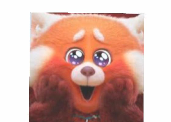 my red panda 1