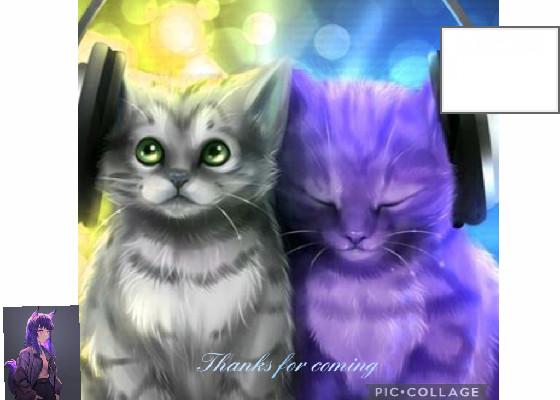 Dj cat music