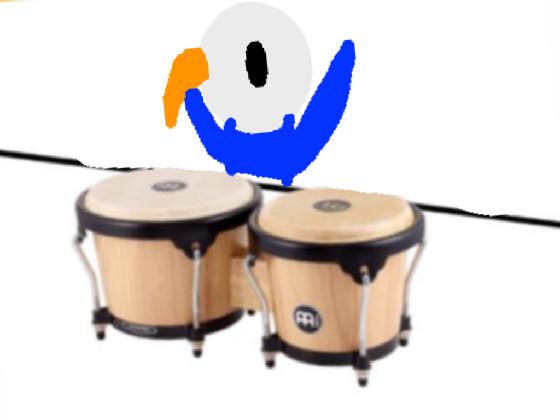 Bongo Bird