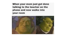 Shrek memes four