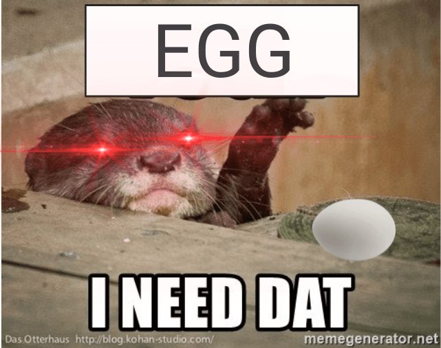 EGG