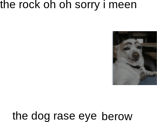 the rock dog