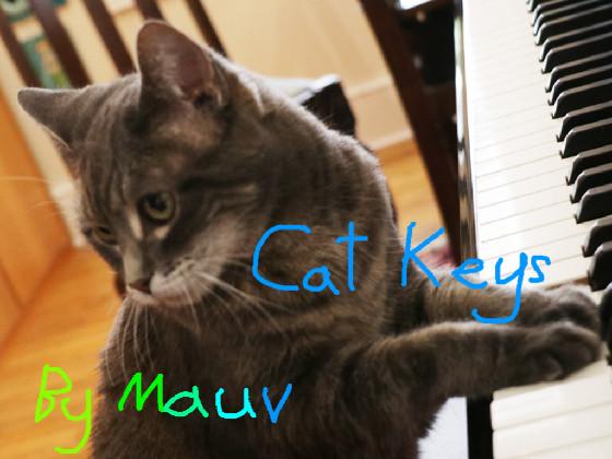 Cat Keys