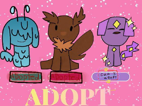 Adoption Center :3 1