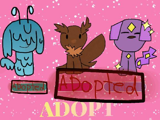 Adoption Center :3 1