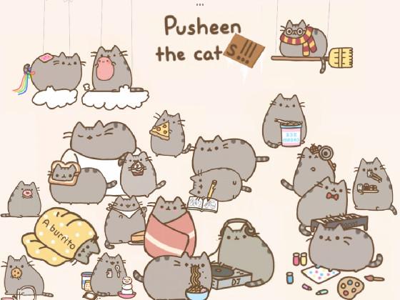 Pusheen party 