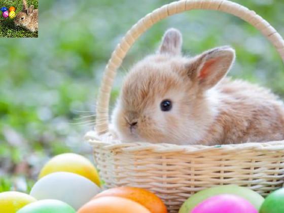 easter bunny spin drawer