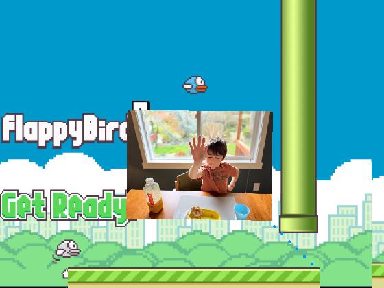 Flappy Bird 1 1 1 1