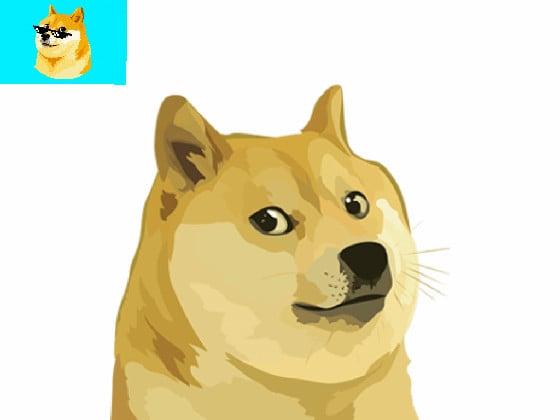 doge spin draw