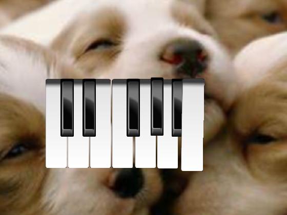 puppy piano