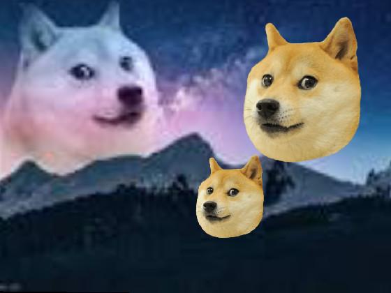 doge sings