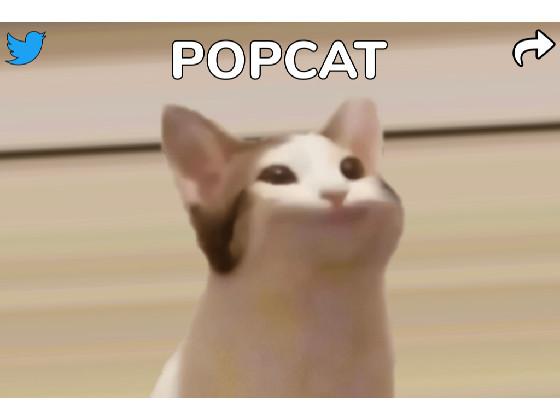 POPCAT 1