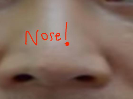 NOSE!!!!!!!!!!!!!