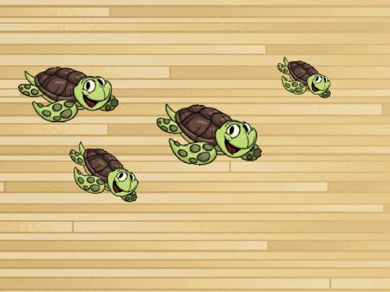 My Turtles