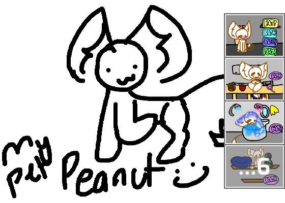 My pet peanut (4 neo) 1