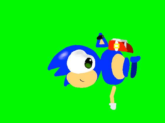 Sonic Idle Costume