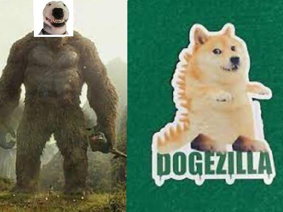 Walter Kong Vs DOGEzilla