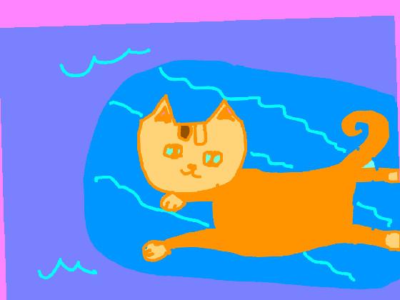 Swiming cat