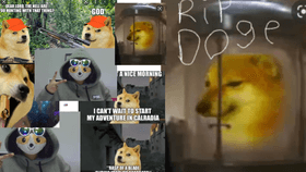 doge