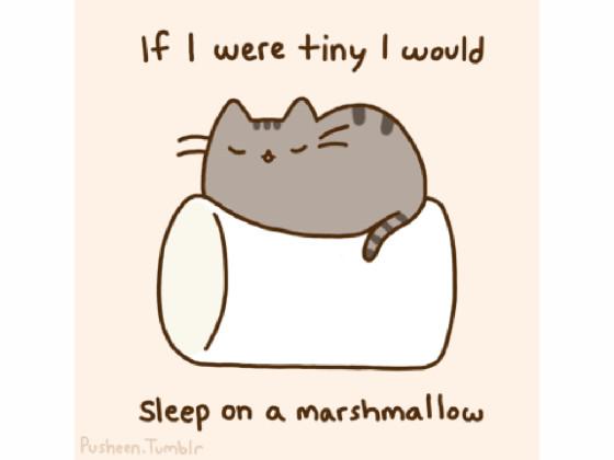 Pusheen