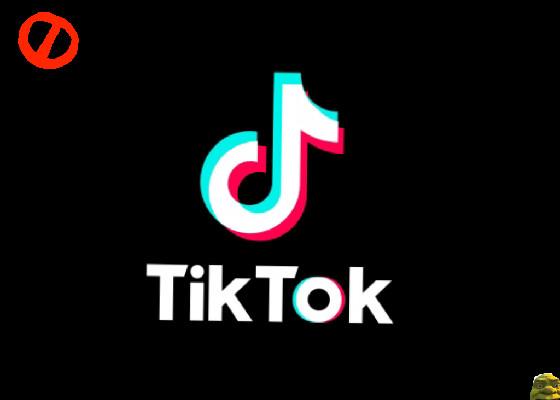 TikTok Sim 1