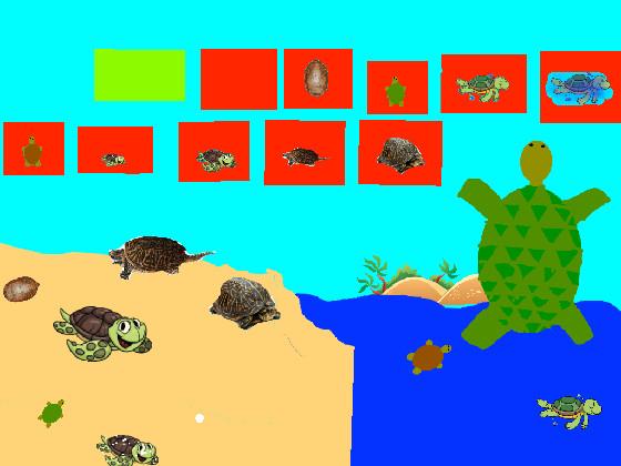 Turtle Clicker!  1