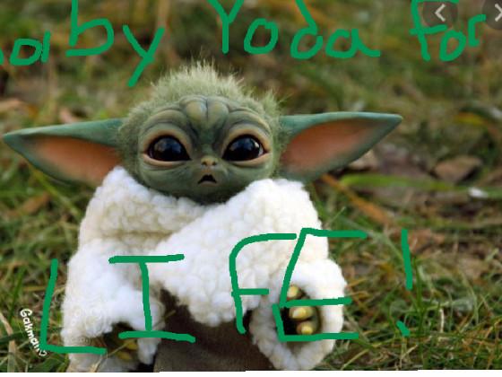 Baby Yoda!!! 1