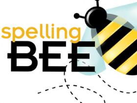 Spelling bee 🐝 