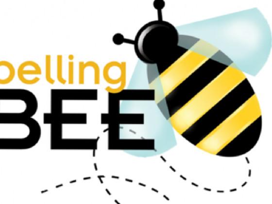 Spelling bee 🐝 2