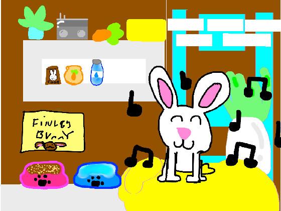 Pet bunny(works)