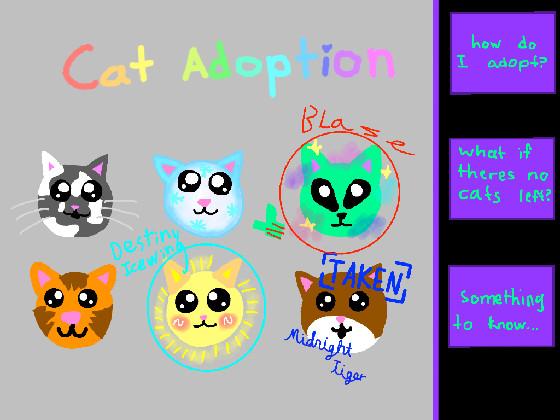 re: Cat adoption 1