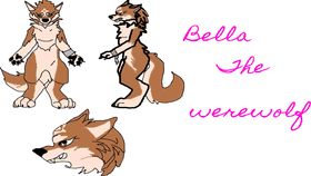 All about Bella the werewolf