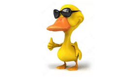 Seriously Cool Duck