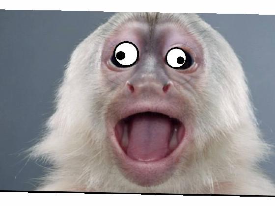 Googly Eyes monkey