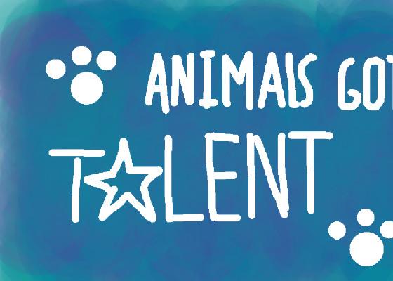 🐶Animal’s Got Talent🐶 1