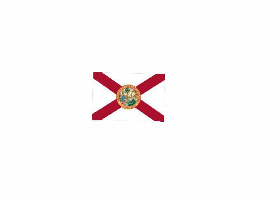 spinny florida flag