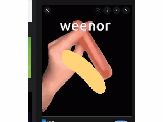 weenor