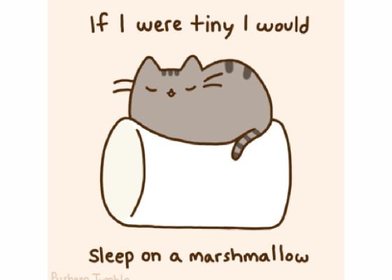 Pusheen 1