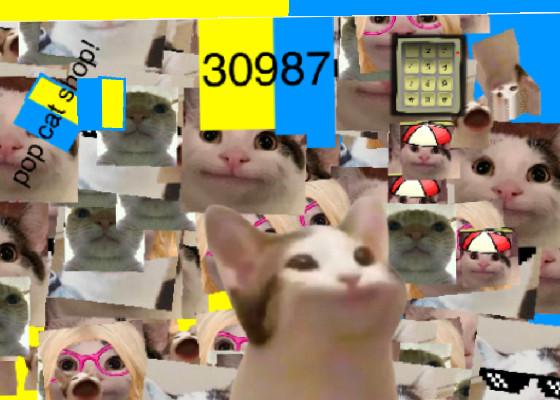 cat pop clicker ukraine 1