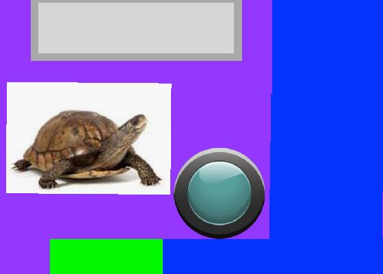 tortise clicker  1