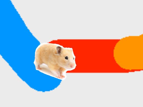 hamster run 2 1 1 1