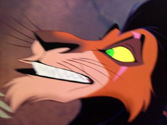 what the heck scar