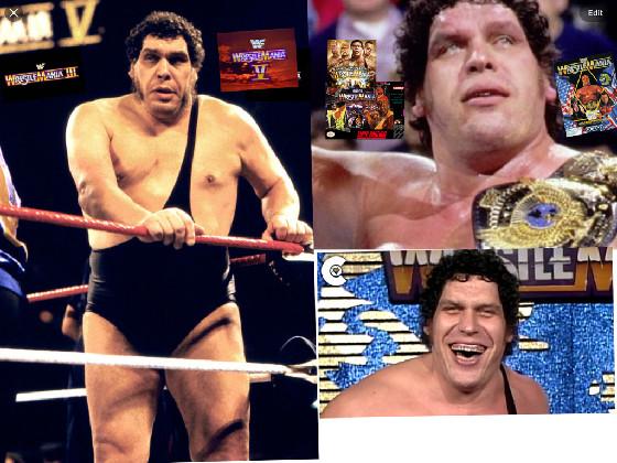 Andre the giant