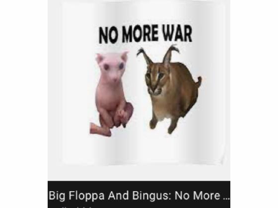 THE WAR FLOPPA AND BINGUS