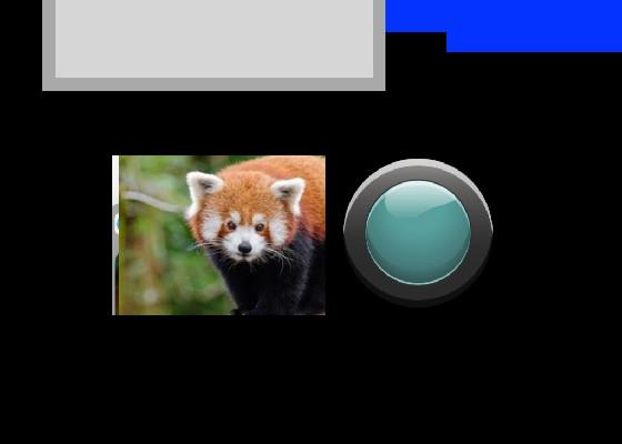 red panda clicker