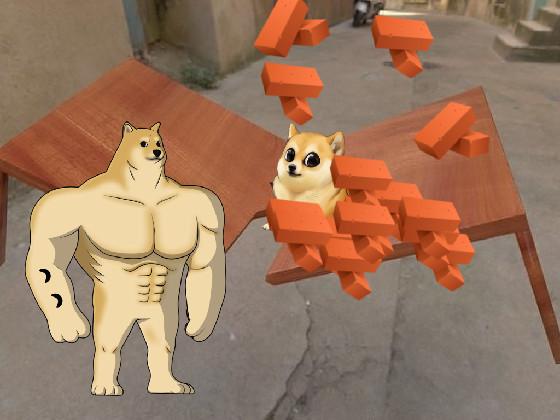 doge our table its broken 1