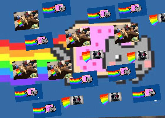 Real Nyan Cat+music