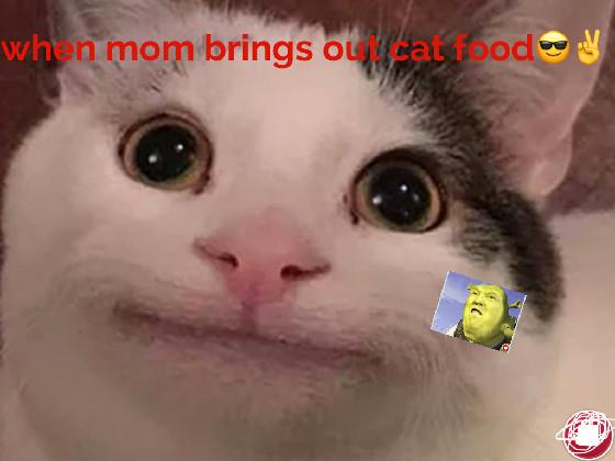 Kitty Meme 1