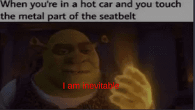 shrek meme