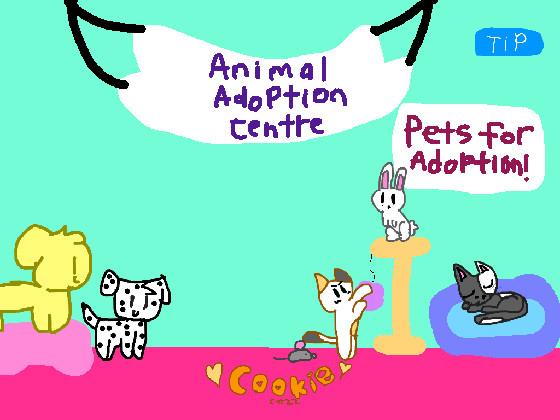 Animal Adoption centre (part 1)